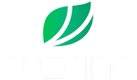 Suzano